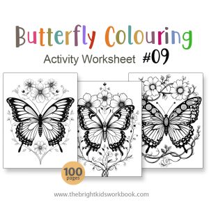 COLOURING ACTIVITY WORKSHEET SET #09 - 100PAGE / PRINTABLE PDF FOR TODDLERS AND PRE-SCHOOL (Age 2-6)
